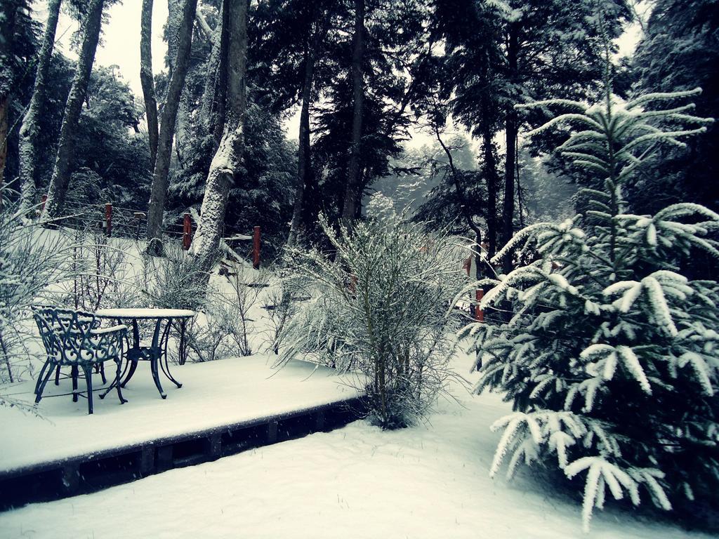 Hosteria Patagon Villa La Angostura Dış mekan fotoğraf
