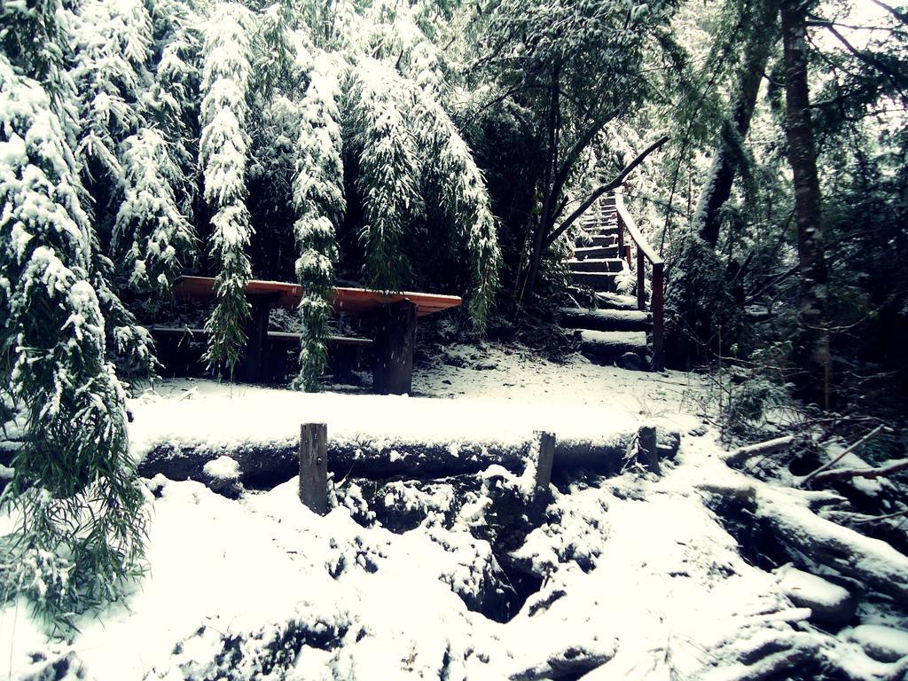 Hosteria Patagon Villa La Angostura Dış mekan fotoğraf